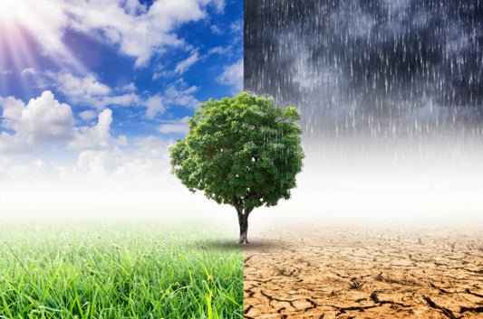 The Impact of Weather Patterns in 2024 on Home Heating Systems